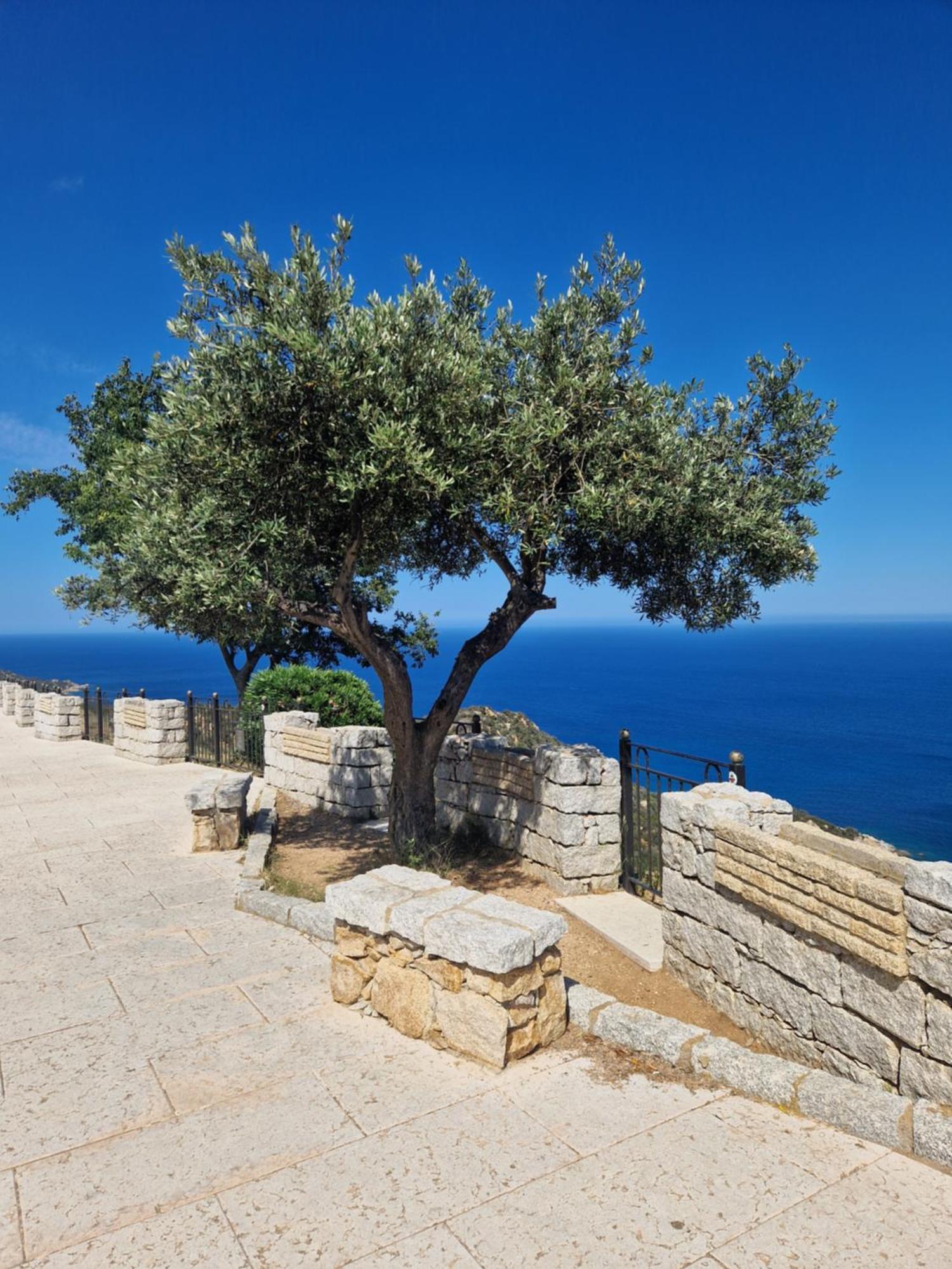 דירות סן ויטו Casa Olive מראה חיצוני תמונה